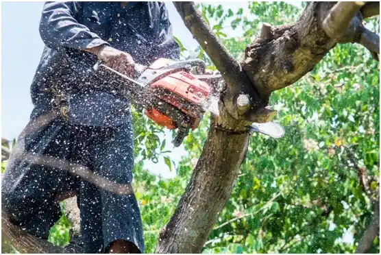tree services Turner